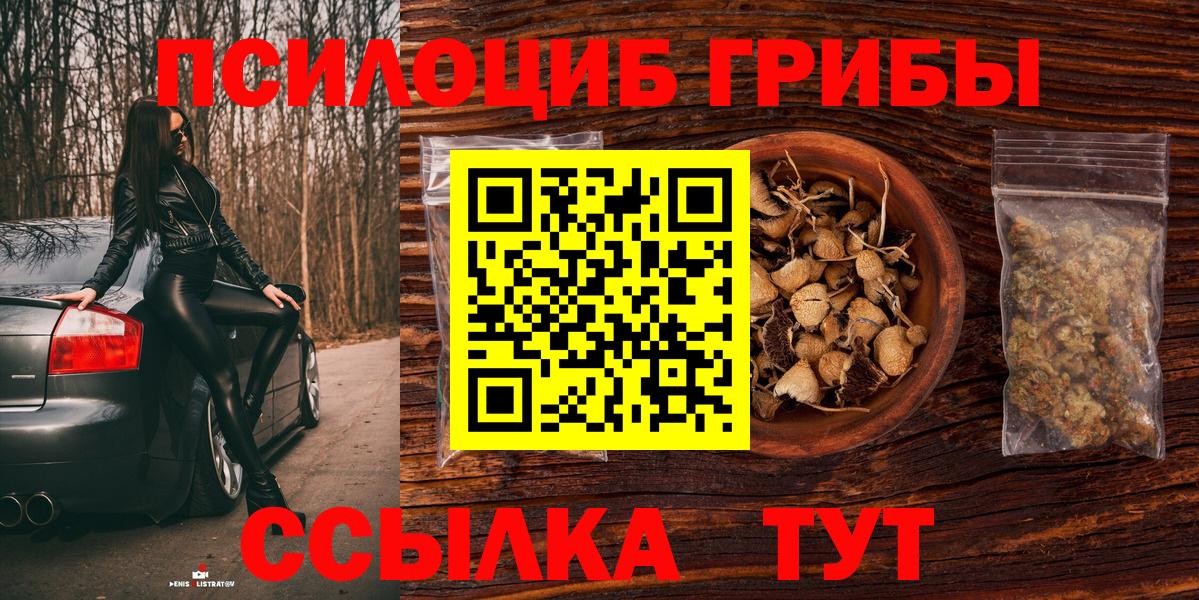 Ишим  Галлюциногенные грибы MAGIC MUSHROOMS  Вход с VPN 